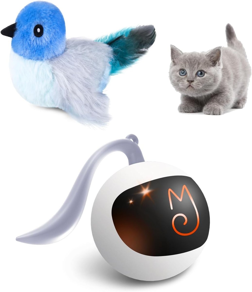 Chase Ball, Mice & Flapping Bird Bundle