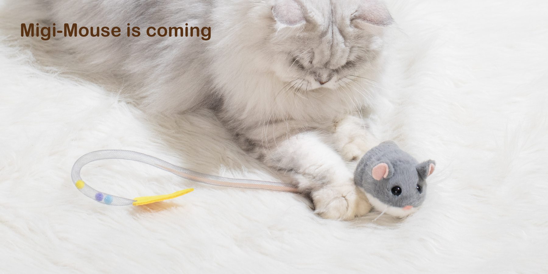 MigiMouse is here — Migipaws